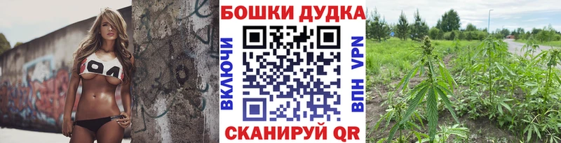 Наркотические вещества Павлово Амфетамин  A PVP  ГАШ  Бошки Шишки 
