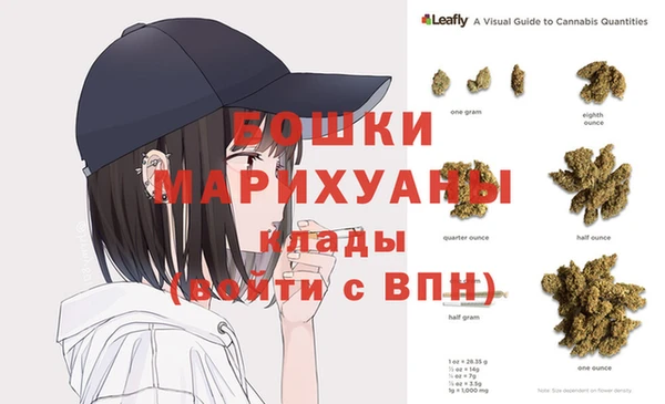ALPHA PVP Няндома