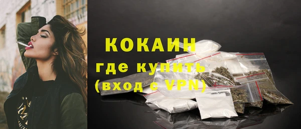 ALPHA PVP Няндома
