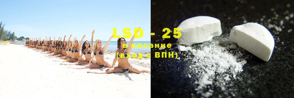 спиды Болотное
