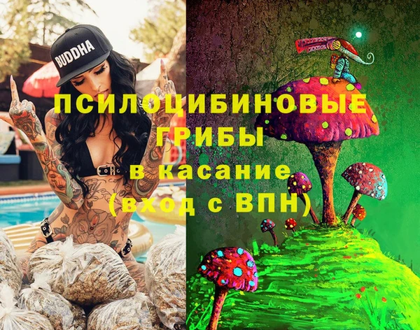 ALPHA PVP Няндома