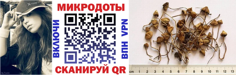 хочу Павлово Псилоцибиновые грибы ЛСД