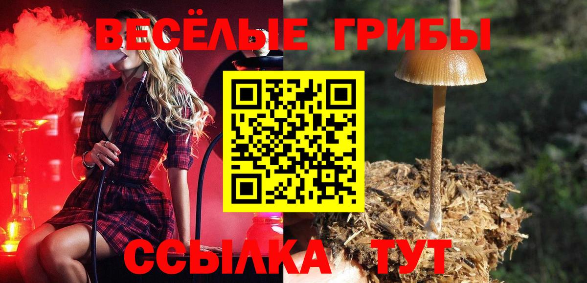Псилоцибиновые грибы ЛСД Павлово