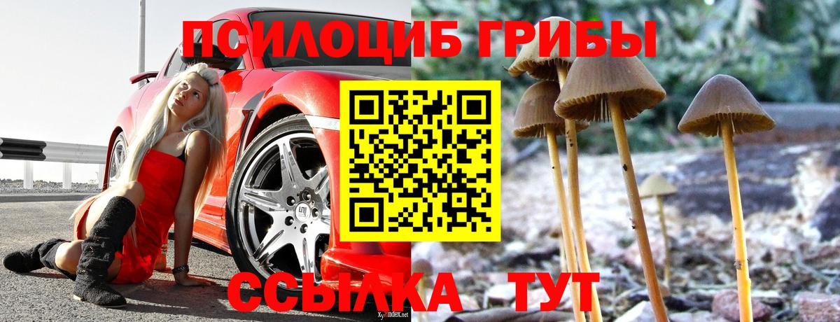 Галлюциногенные грибы GOLDEN TEACHER Павлово