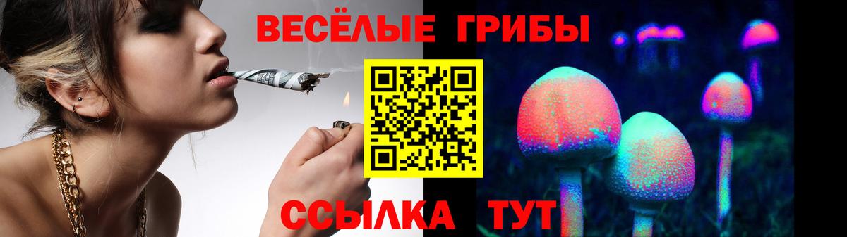 Галлюциногенные грибы мухоморы  Вход с VPN  Павлово 